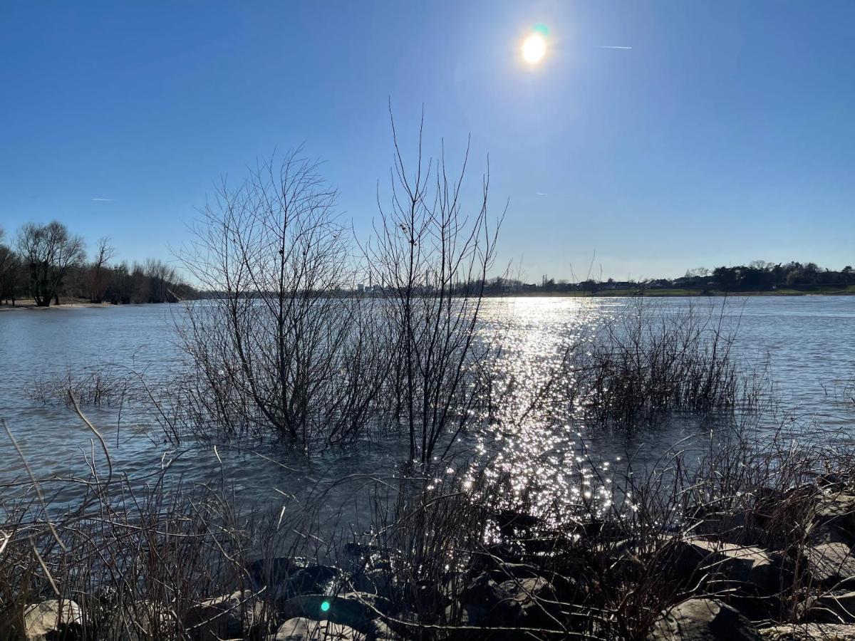Habitat Himmelgeist Leilighet Düsseldorf Eksteriør bilde